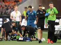 的新领队选 的新领队选