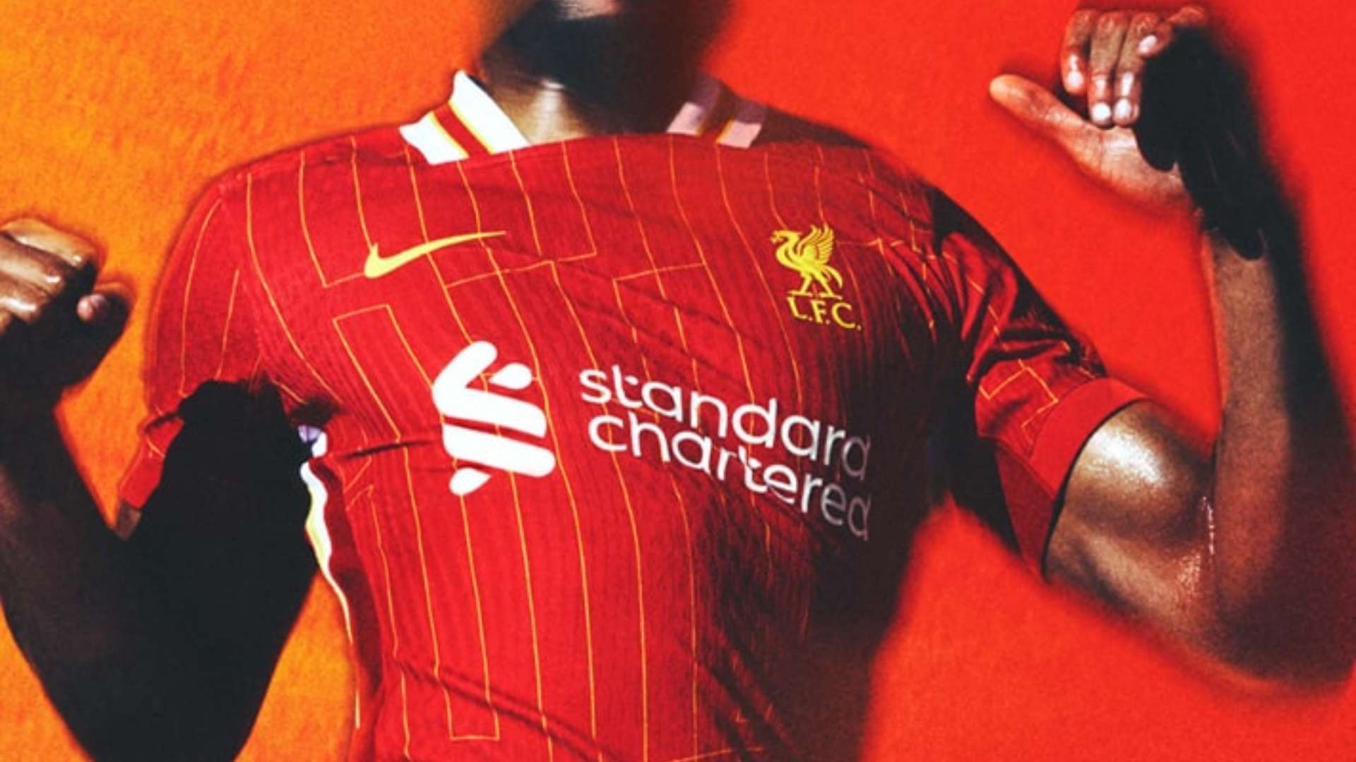 追求进步的 追求进步的